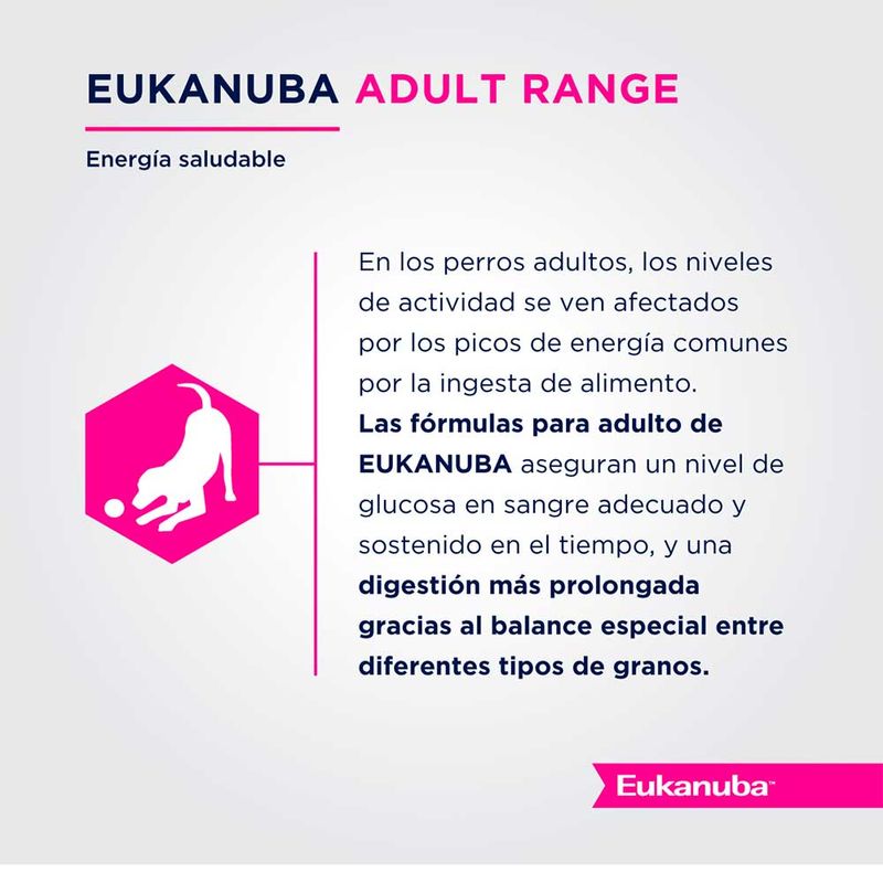 Eukanuba-Adulto-Small-Breed-15Kg