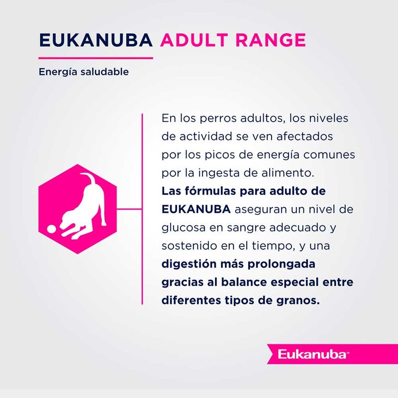 Eukanuba-Adulto-Large-Breed-x-15-kgs