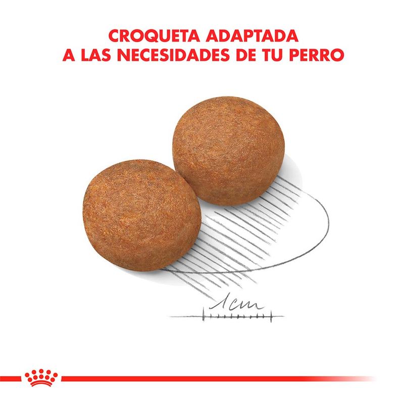 Royal-Canin-Maxi-Adulto---15-Kg.