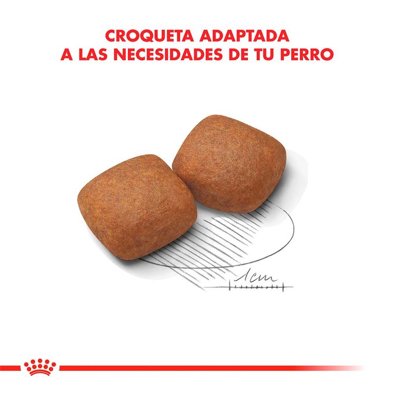 Royal-Canin-Giant-Junior---15-Kg.