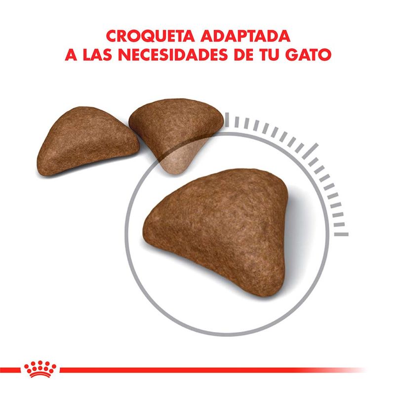 Royal-Canin-Hairball-Care---15-Kg.