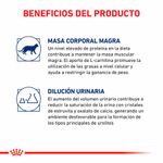 Royal-Canin-Gatos-Castrados-Young-Female---35-Kg.
