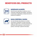 Royal-Canin-Gatos-Castrados-Young-Male---35-Kg.