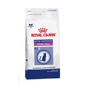 Royal Canin Gato Castrado Young Male 1,5kg