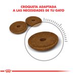 Royal-Canin-Digestive-Care---15Kg.
