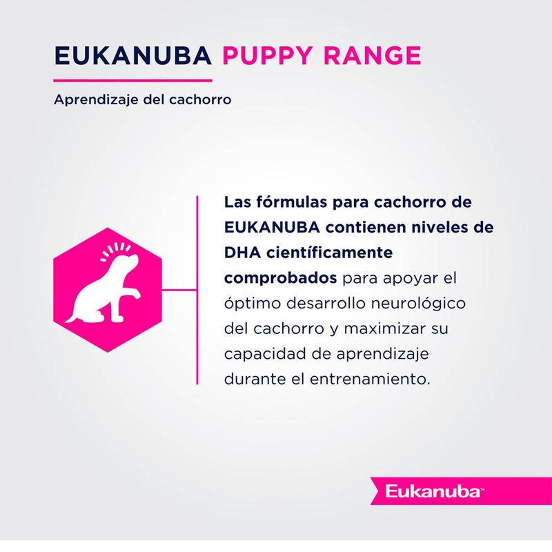 EUKANUBA-PUPPY-SMALL-X-3-KG