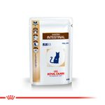 SOBRE-ROYAL-GASTRO-INTESTINAL--X-85-GRS