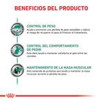 SOBRE-ROYAL-SATIETY-FELINE--X-85-GRS
