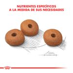 MEDIUM-WEIGHT-CARE-X-10-KG