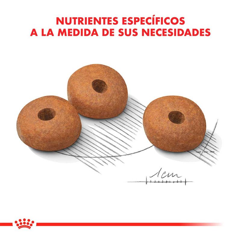 MEDIUM-WEIGHT-CARE-X-10-KG