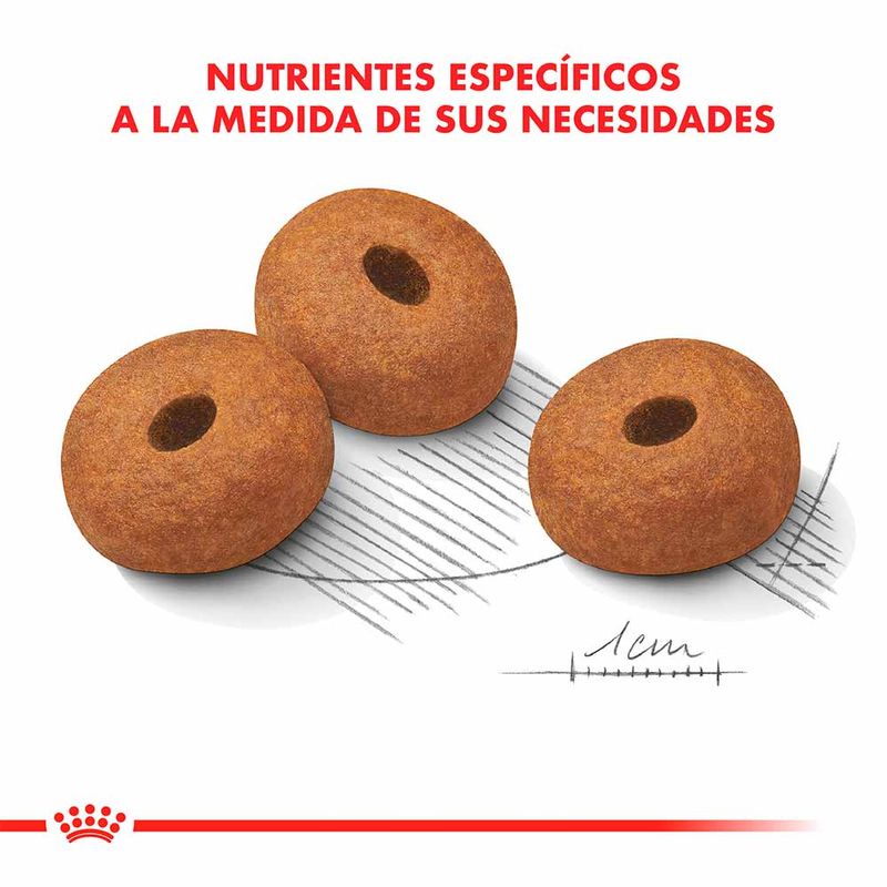MAXI-WEIGHT-CARE-X-10-KG