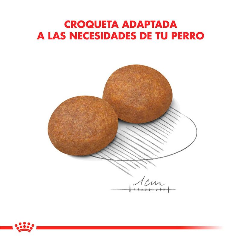 MAXI-ADULTO--5-X-15-KG