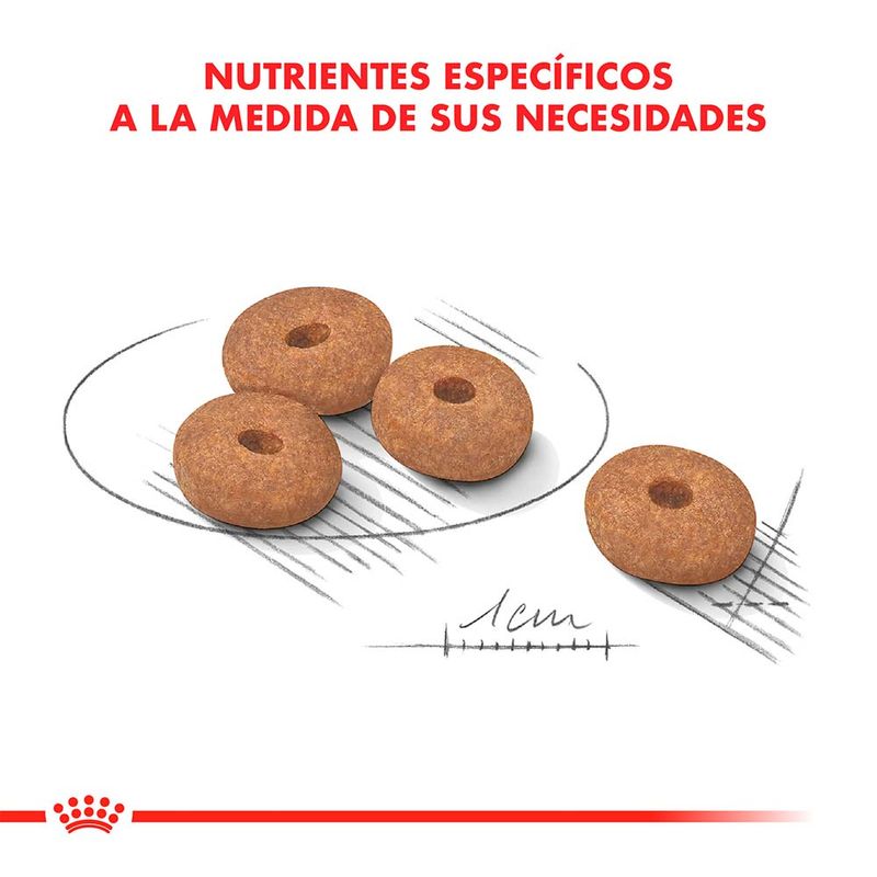 MINI-WEIGHT-CARE-X-3-KG