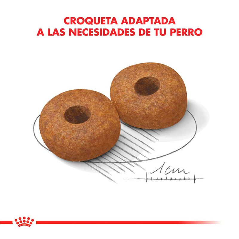 MEDIUM-AGEING--10-X-15-KG