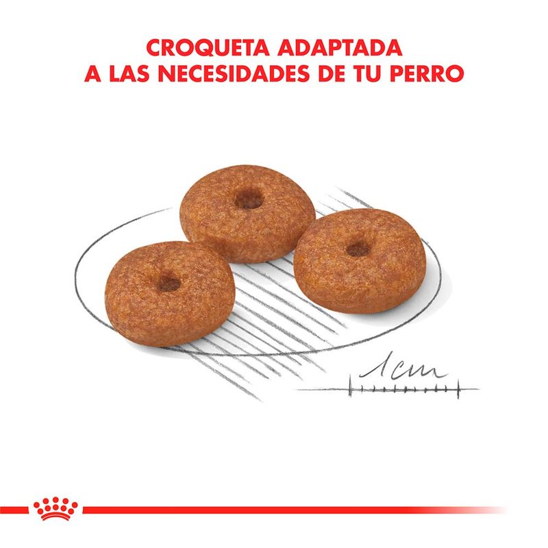 MINI-AGEING--12-X-3-KG