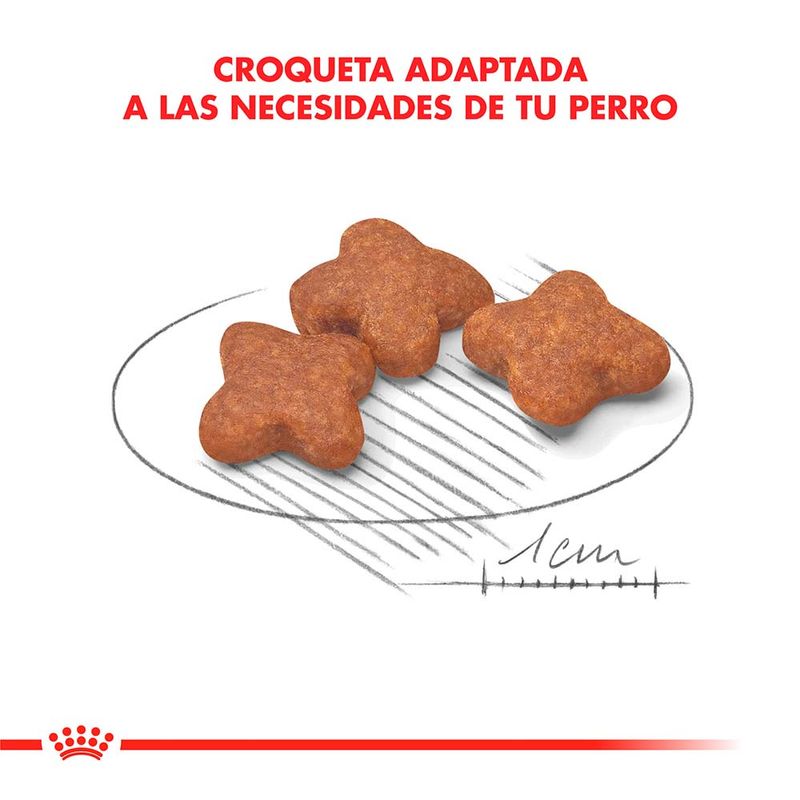 MINI-ADULTO--8-X-3-KG
