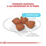 STARTER-MINI-X-1-KG