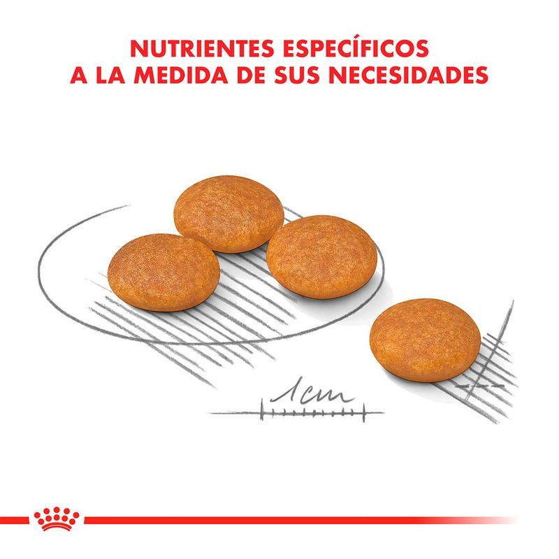 MINI-DERMACONFORT-X-3-KG