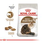 AGEING--12-X-2-KG