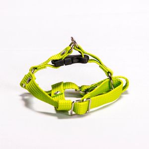 Pretal Regulable Talle M (ACAR003)