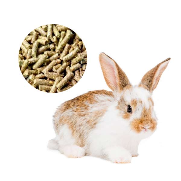 Conejo