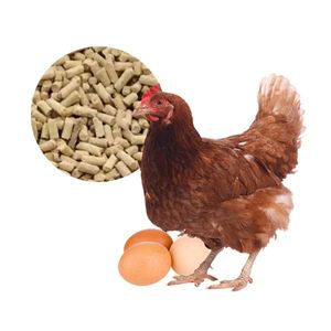 Ponedora 25kg