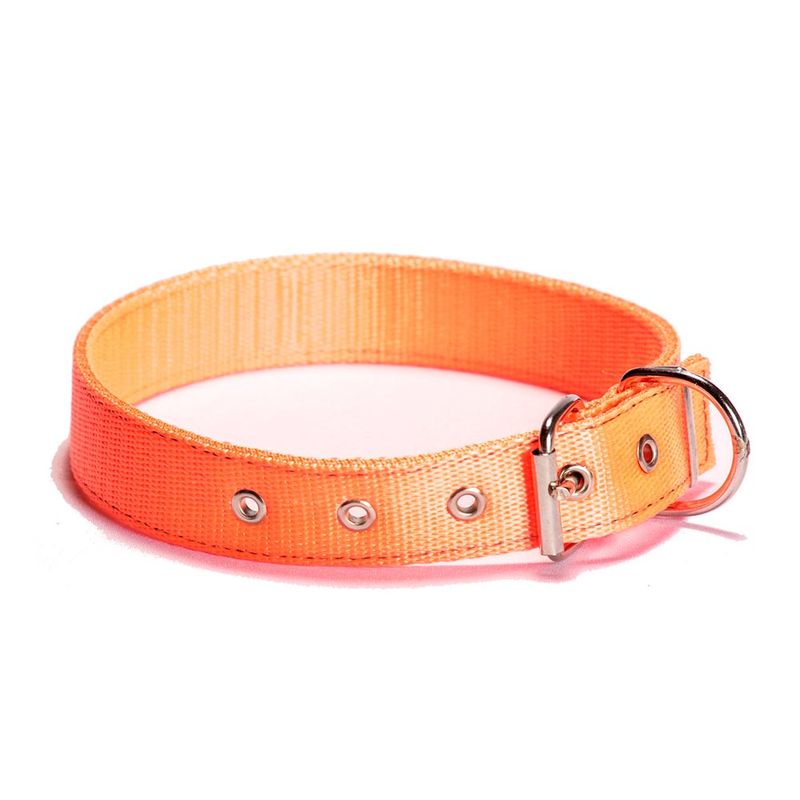 collar_nylon_ref_3