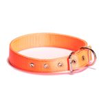collar_nylon_ref_3