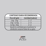 sobre_proPla_gato_Pollo_2