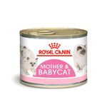 lataRoyal_babyCAt