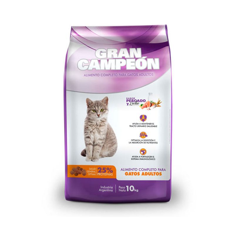 gran-campeon-gato-adulto