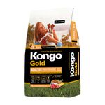 KONGO-GOLD-ADULTO-RAZA-PEQUEÑA
