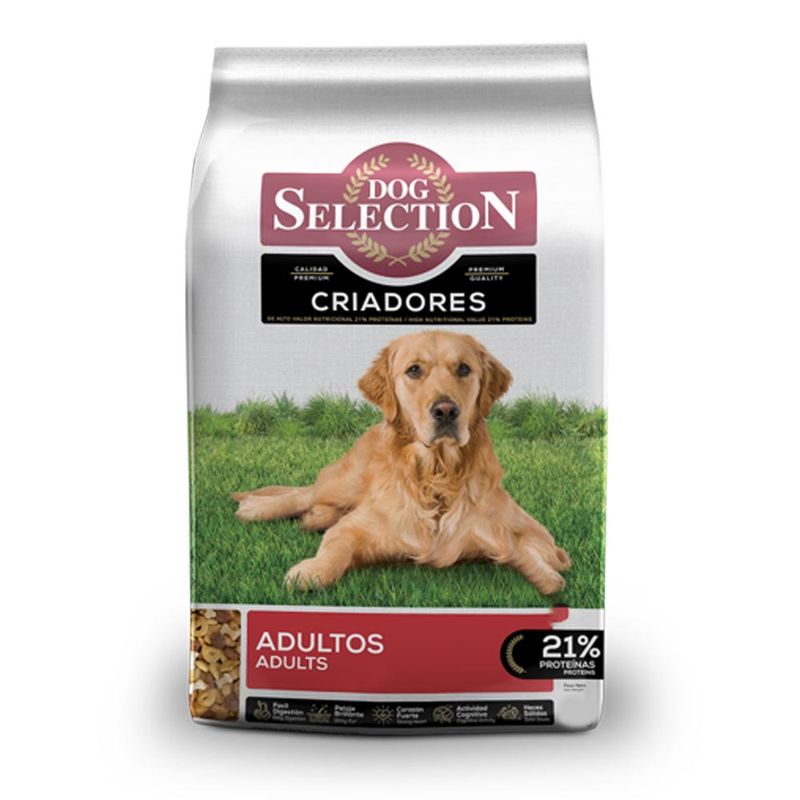 dog-selection-ciradores
