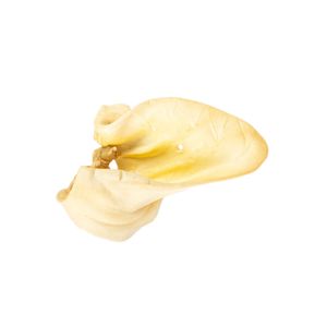 Oreja de Vaca Mediana