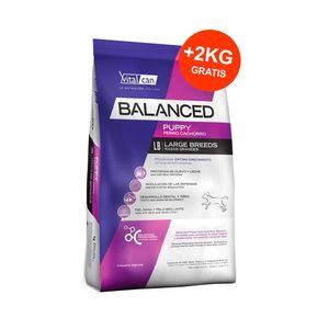 Balanced Perro Cachorro Raza Grande 20kg + 2kg GRATIS