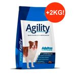 AGIL-2