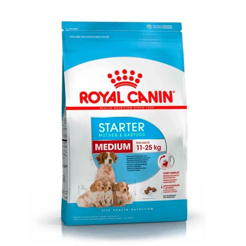starter-medium