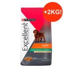 PUPPY-EXCELENT---2