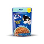FELIX-ATUN