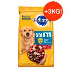 pedigree-adulto-21---3