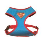 SUPER-HEROE