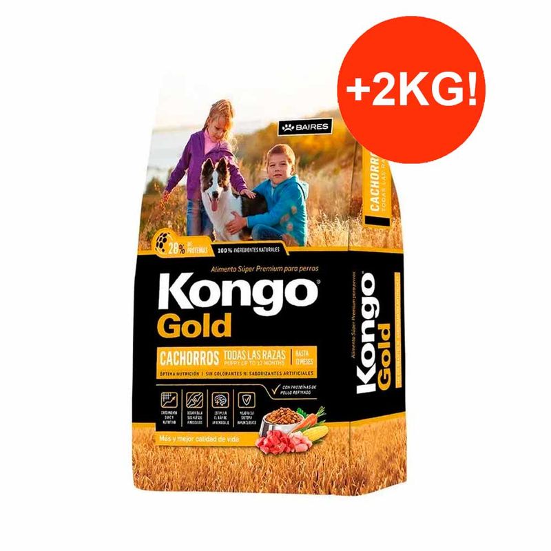 kongo-gold-cachorro-15-2
