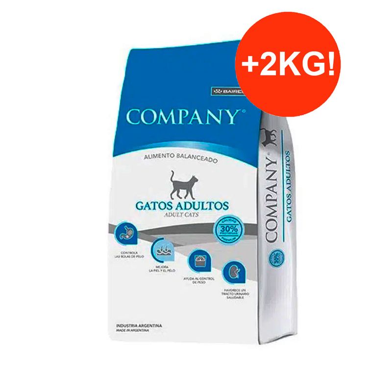 COMPANY-GATO-15-2