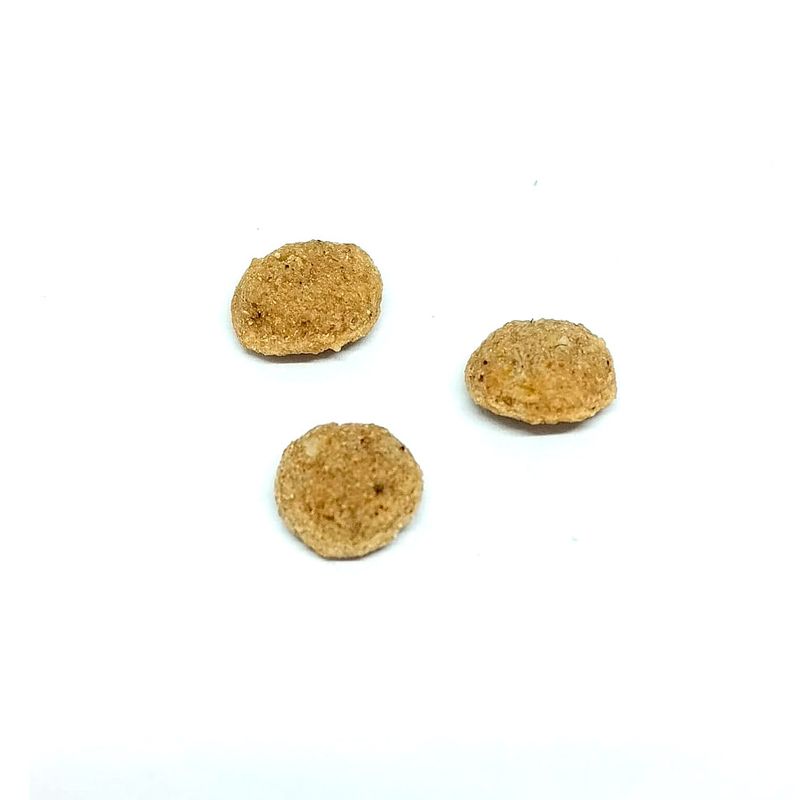 hop-gato-adulto-croqueta