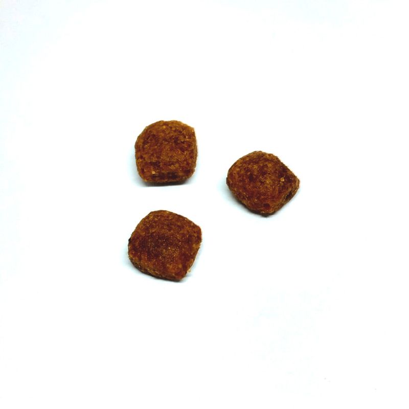 excellent-kitten-croqueta