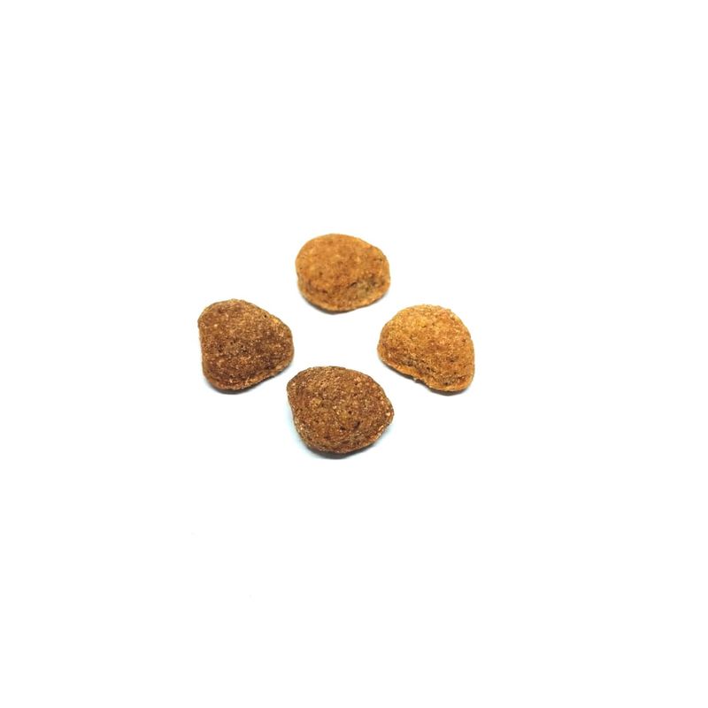 pedigree-perro-adulto-croqueta