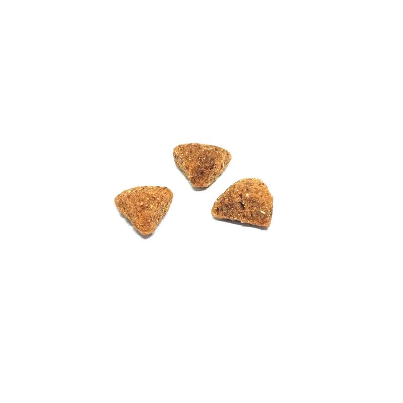premium-cachorro-croqueta
