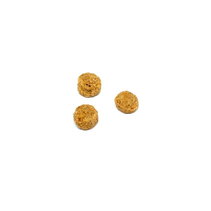 hop-adulto-pequeño-croqueta