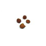 dog-selection-cachorro-croqueta