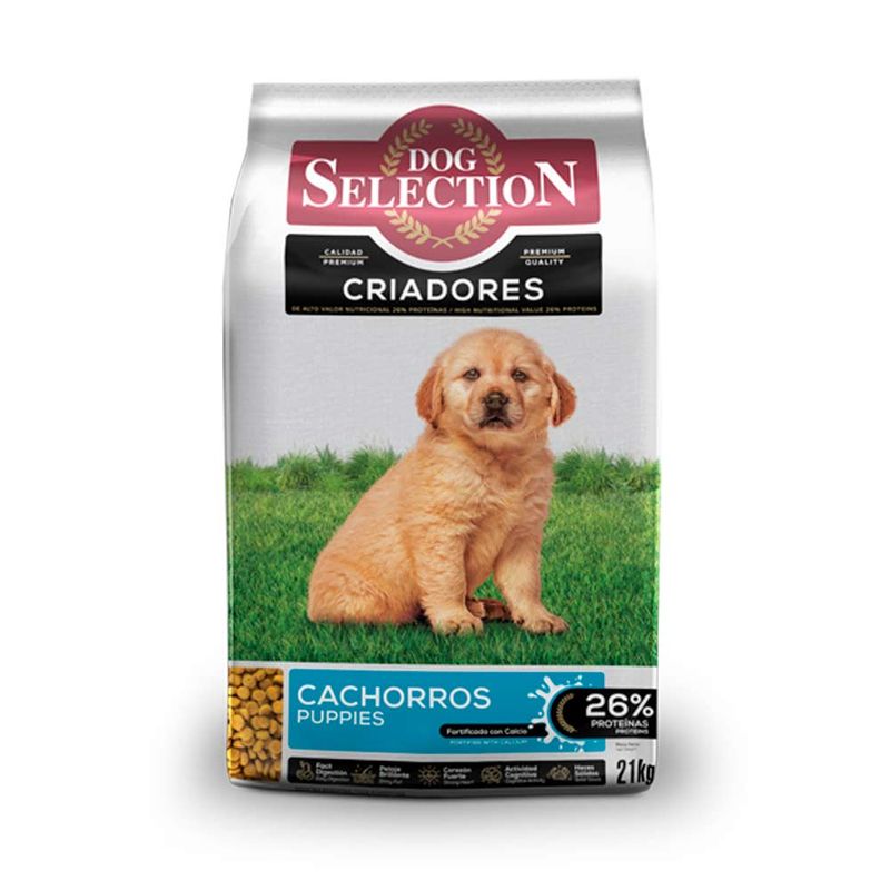 criadores-cachorro-21